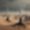 No Man's Land